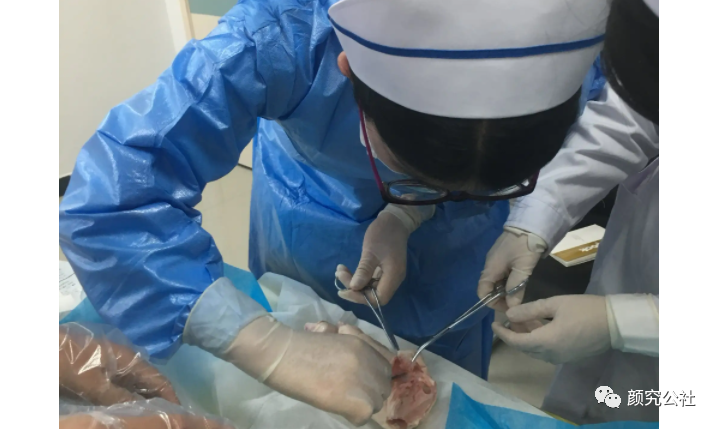 人工敷料怎么照顾伤口伤口分类及护理原则（五）：敷料的选择和选分类_https://www.jmylbn.com_新闻资讯_第2张