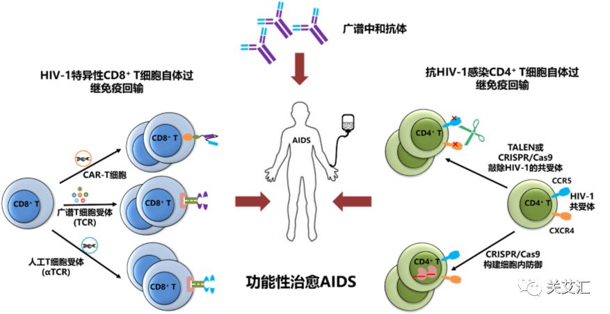 头条详情 头条 人卫临床助手 人民卫生出版社