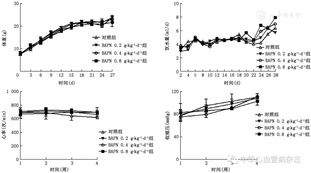 怎么使实验小鼠升血压【基础研究】β-氨基丙腈饮水建立小鼠主动脉夹层模型_https://www.jmylbn.com_新闻资讯_第2张