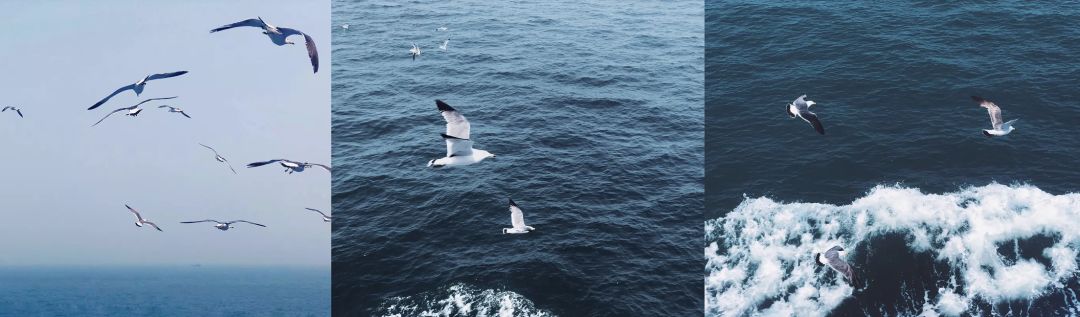 中國最「仙」的海濱小城，這個夏天一定要去！ 旅遊 第19張