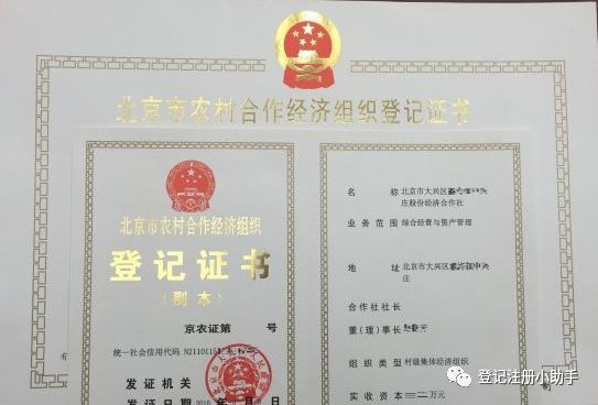 郑州经济管理干部学院经济贸易系_初级合作社 高级合作社_经济合作社