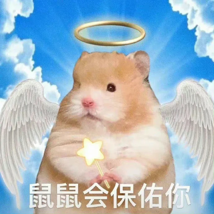嘲讽别人满级的表情包