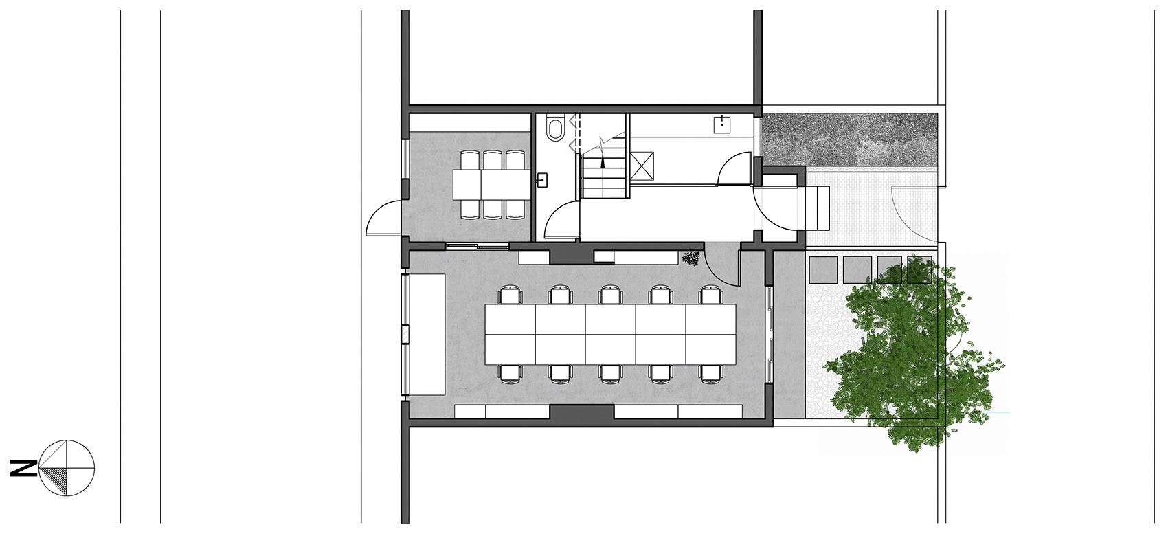 有花有鸟,有街有巷,上海市井中藏着一间建筑工作室