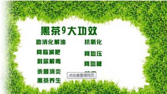 安化黑茶知识之你问我答