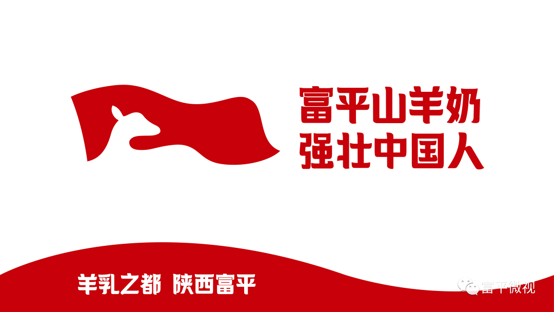 养羊致富经2020年全集_养羊致富经_致富养羊能手资料