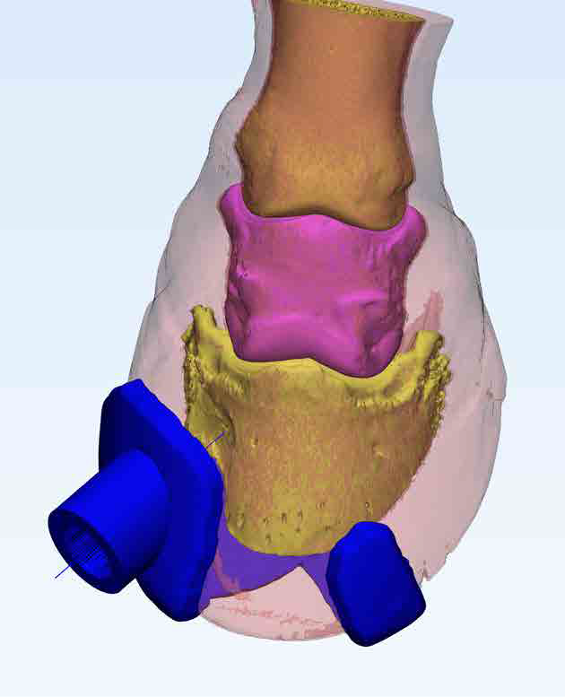 3D打印技术提升大型动物医疗救治水平的图8