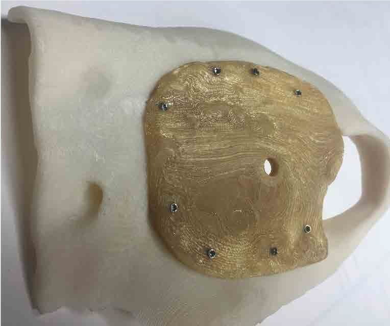 3D打印技术提升大型动物医疗救治水平的图13