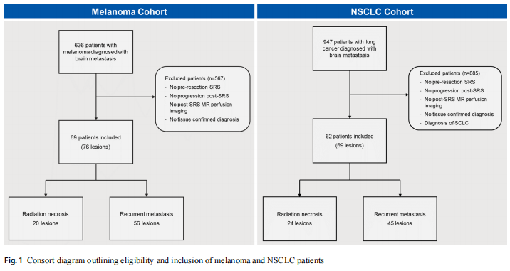 病理切片快递怎么包装【文献快递】多学科评估在区分放射治疗后脑转移瘤复发与放射性坏死方面优于定性磁共振灌注成像技术_https://www.jmylbn.com_新闻资讯_第2张