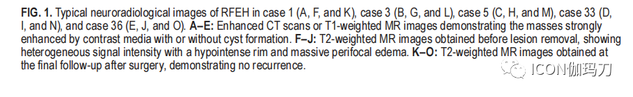 病理切片快递怎么包装【文献快递】类似海绵状血管畸形的网状内皮增生是伽玛刀放射外科的晚期并发症_https://www.jmylbn.com_新闻资讯_第6张