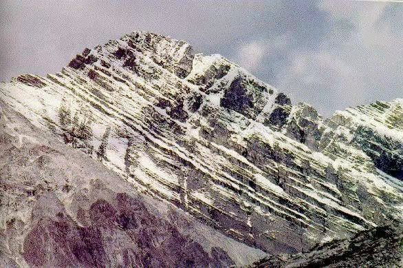 地质构造基本类型的图5