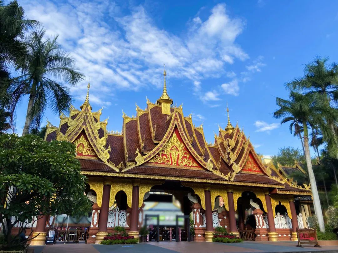 【游·在康旅】来曼听御花园赴一场文化研学之旅,云南省康旅控股集团