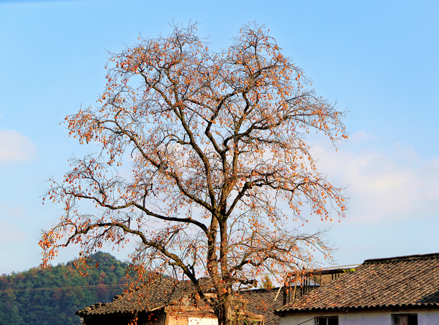 9月最佳旅行地榜單 | 這些地方的顏值要逆天了！ 旅遊 第2張