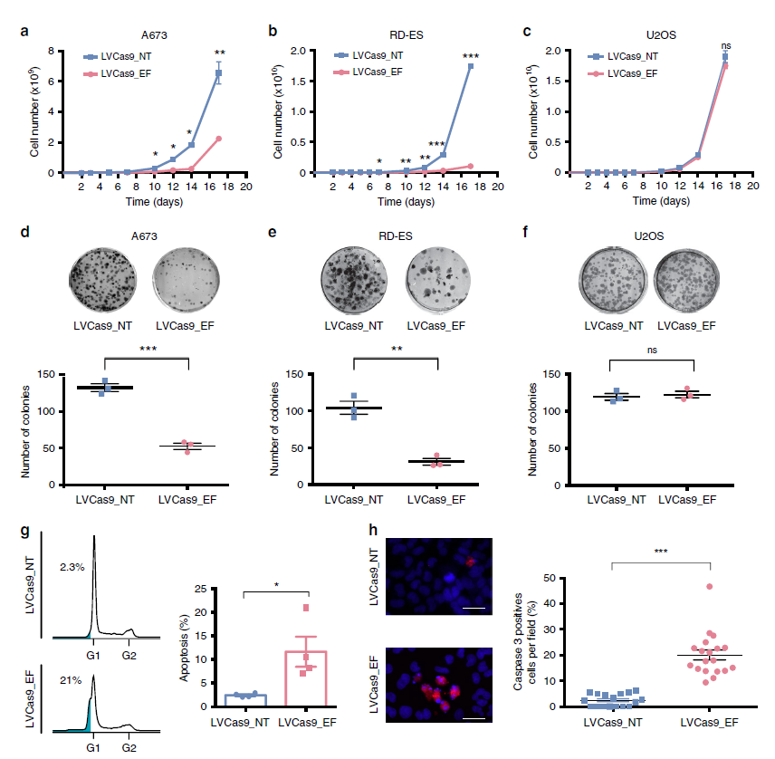 Natureӿ - ³ɹŵCRISPR/Cas9