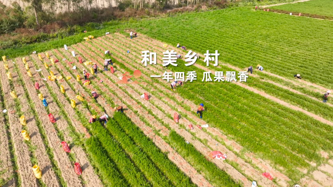 一分钟看镇村飞阅溪头镇