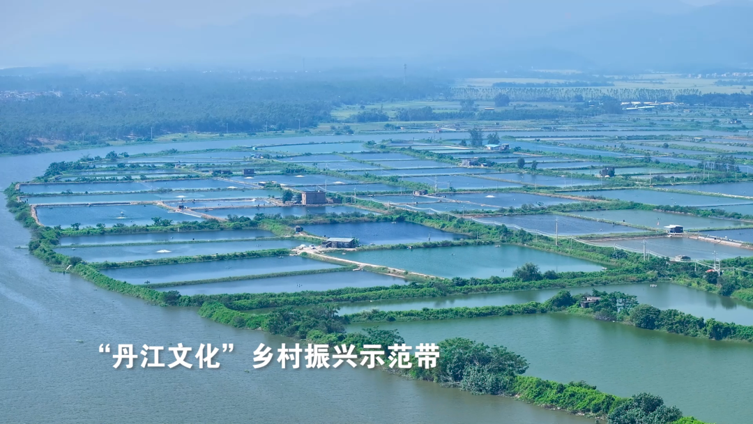 一分钟看镇村飞阅溪头镇