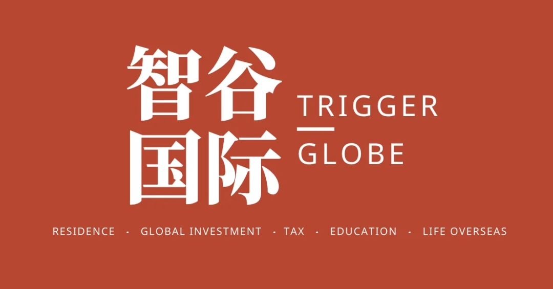 智谷国际