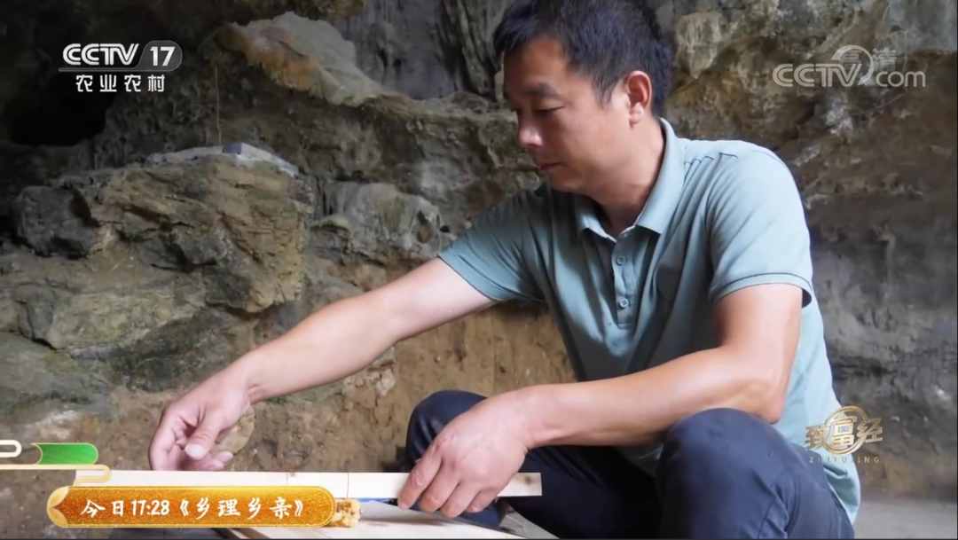 致富栏目养石蹦_致富经栏目_致富栏目在哪个电视台