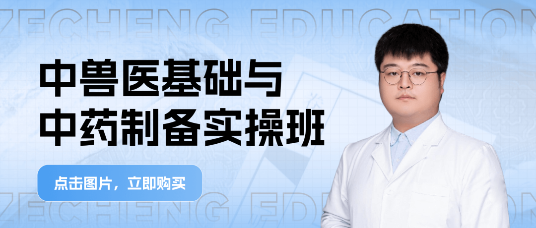 宠物生化机器怎么使用【临床分享】宠物医生必看！犬猫生化指标详细判读指南_https://www.jmylbn.com_新闻资讯_第9张