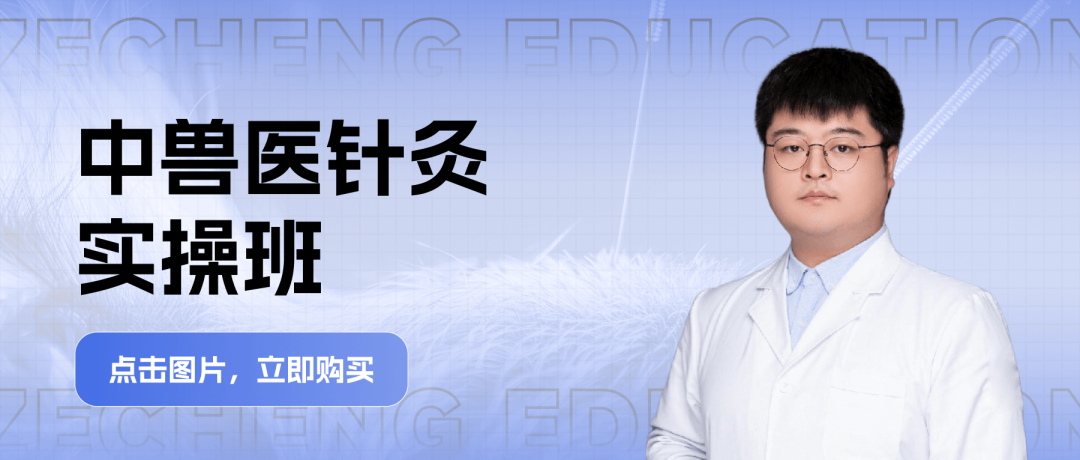 宠物生化机器怎么使用【临床分享】宠物医生必看！犬猫生化指标详细判读指南_https://www.jmylbn.com_新闻资讯_第8张