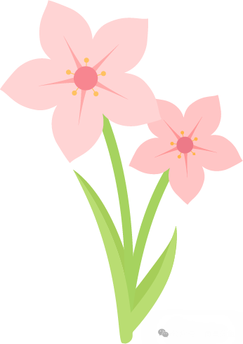 最可爱的鼠鱼_鼠鱼小型_鼠鱼长什么样