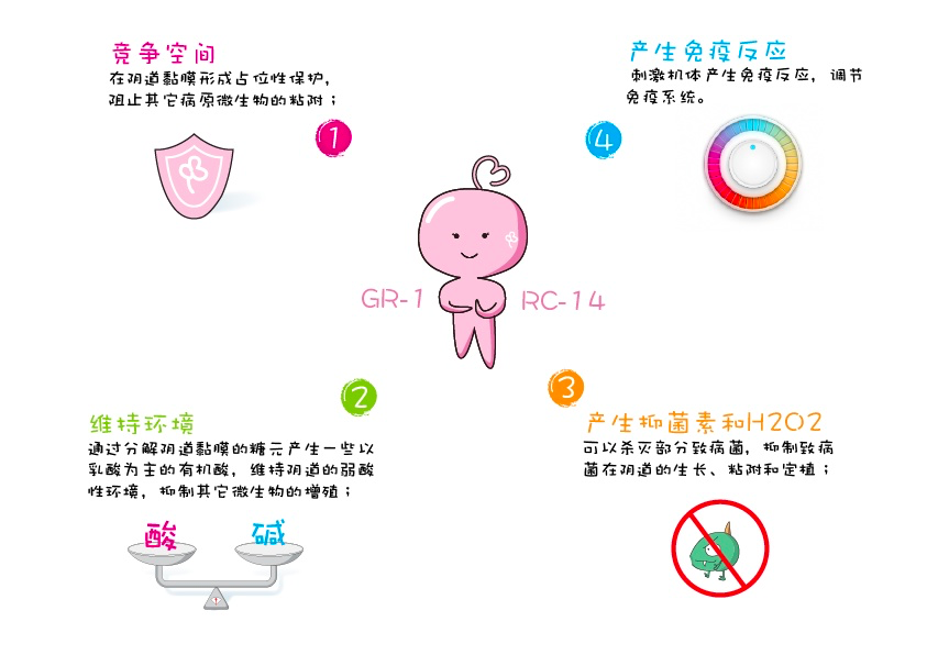 益生菌守护女性私密健康