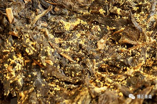 黑茶的秘密，可能你还不知道！