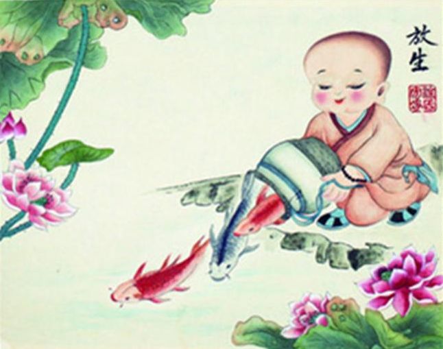 放生前了知此理，让放生功德更圆满