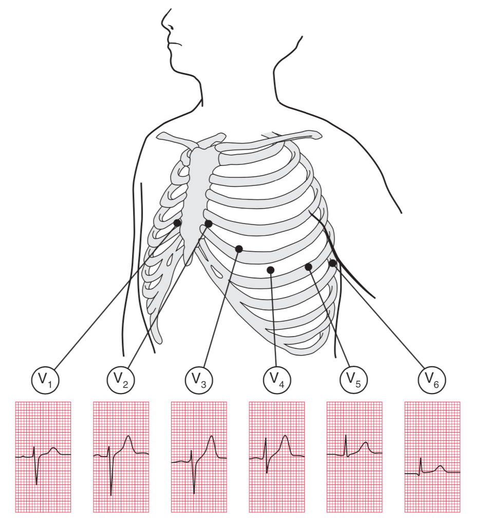 p心电图功能怎么开通心电图的P、T、QRS、U名称是怎么来的？_https://www.jmylbn.com_新闻资讯_第5张