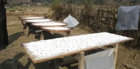 微信截图_20181212153403.png