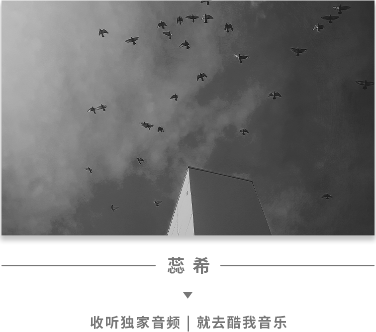 己思 我很喜欢你 得不到也没关系