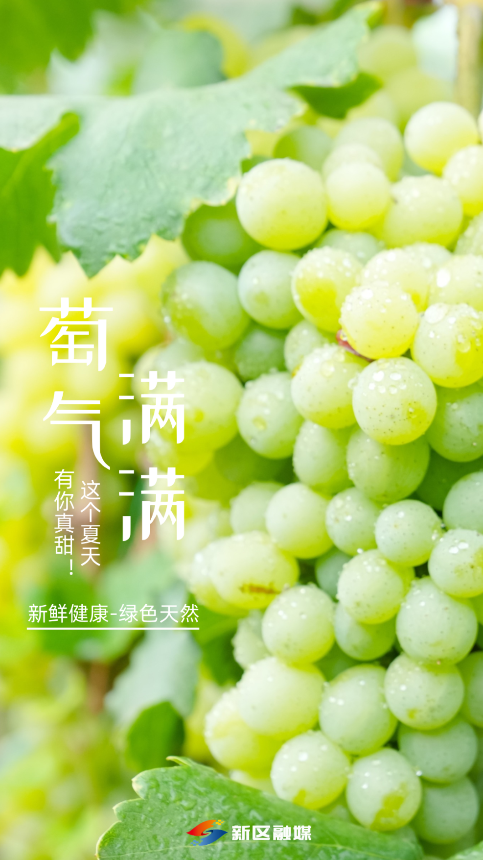 简约风水果葡萄宣传海报