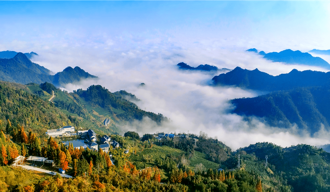 @董宇辉,到十堰,怎能不来竹溪 - 文旅 - 竹溪新闻网 竹溪县新闻门户网