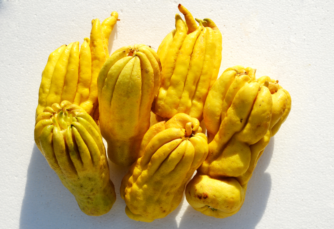 肝郁气滞且有痰试试这味中药