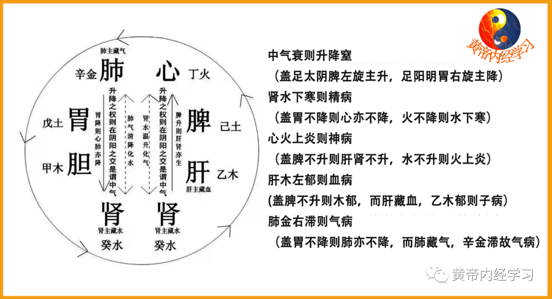 为什么心是钩脉用运气思维探索脉学临床应用_https://www.jmylbn.com_新闻资讯_第2张