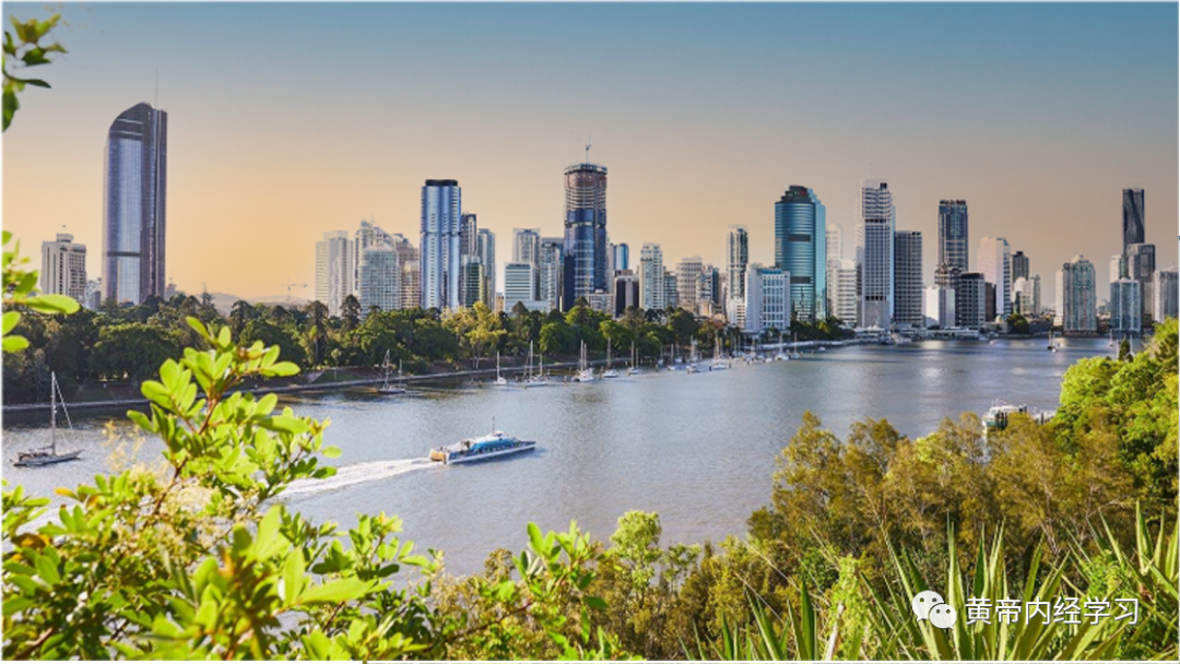 为什么心是钩脉用运气思维探索脉学临床应用_https://www.jmylbn.com_新闻资讯_第8张