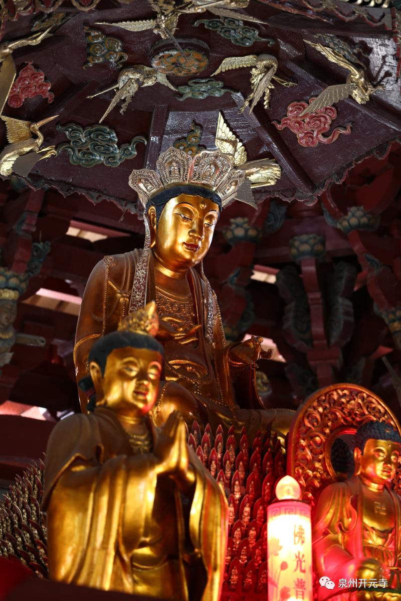 通知 || 9月14日起，泉州大开元寺闭寺