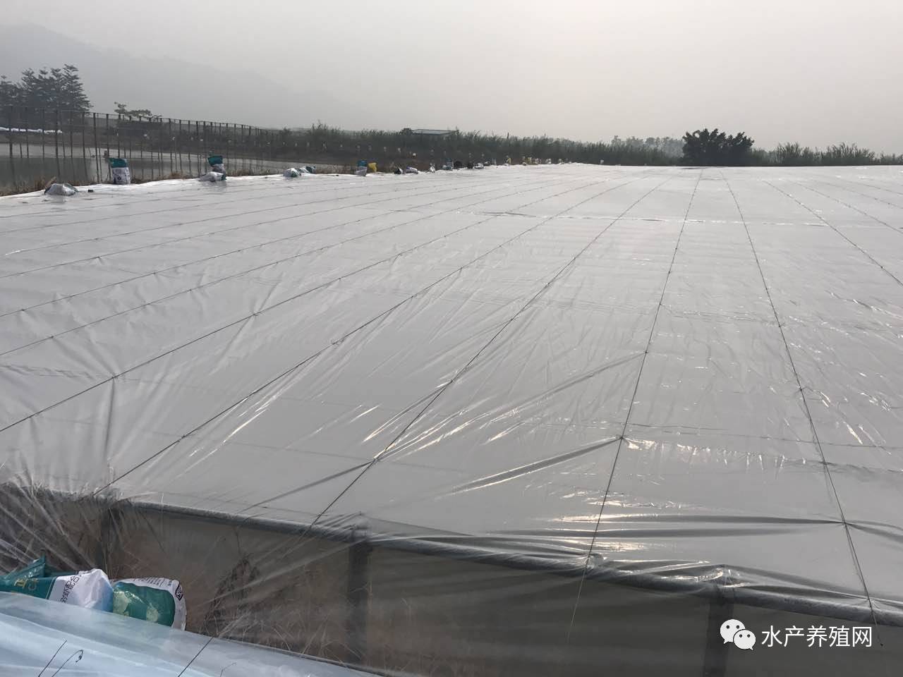 这里的大棚很牛掰!