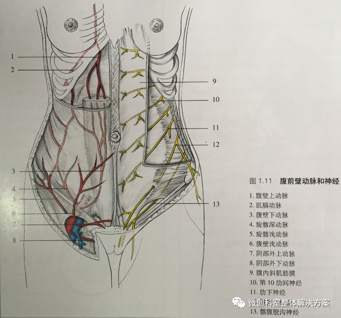 妇科腹腔镜篇穿刺孔