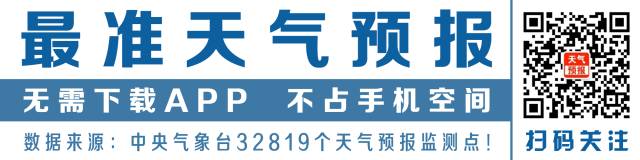 萌图|哈巴狗天天去比熊犬家玩,后来发现哈巴狗怀孕了
