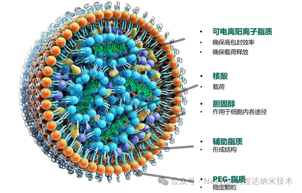 微流控LNP制備儀|LNP-mRNA包裹技術(shù)
