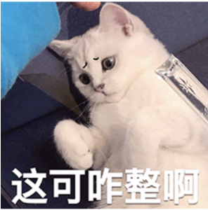 什么是260胃镜专家进驻，胃镜当天做，肠镜次日做！_https://www.jmylbn.com_新闻资讯_第1张