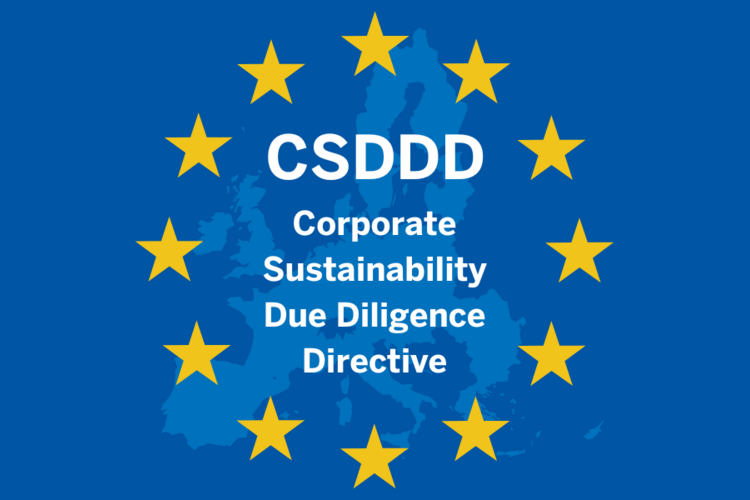 csddd-stars-featured-1200x630-opt