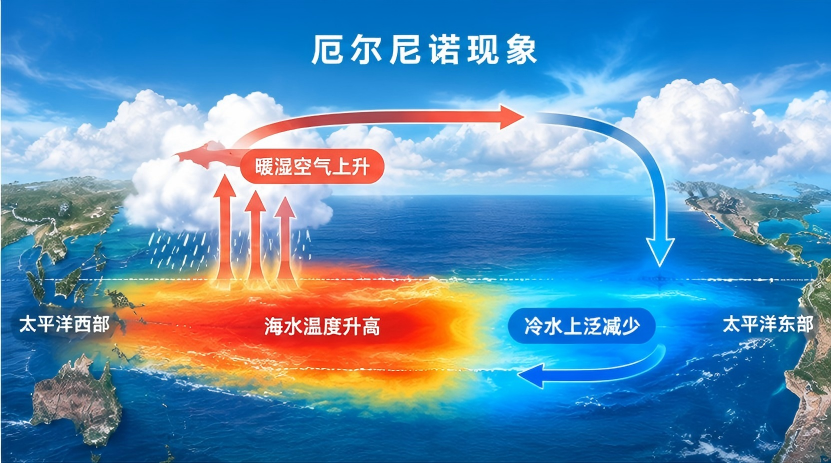 厄尔尼诺气候影响全景图