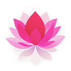 好运连连电子许愿莲