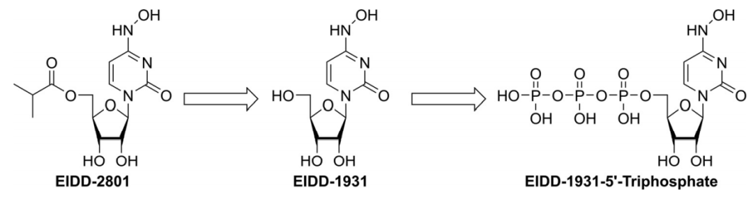 默沙东新冠小分子--机理与结构 第2张