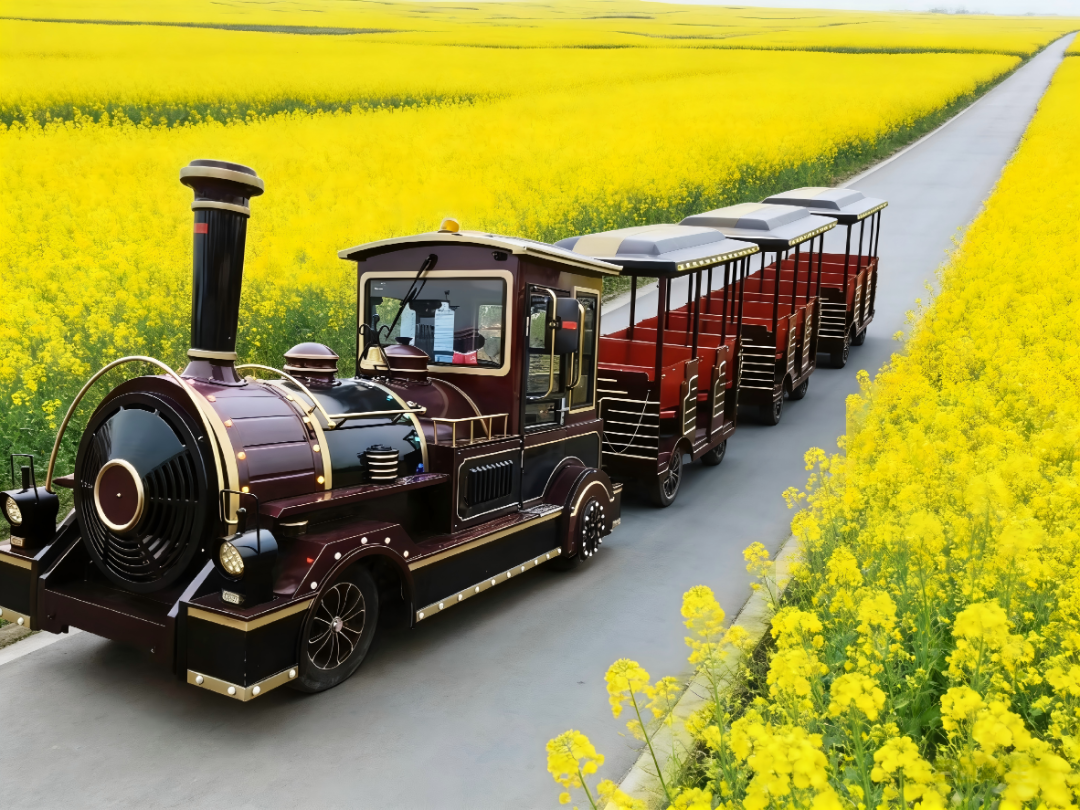 亲子观光小火车.png