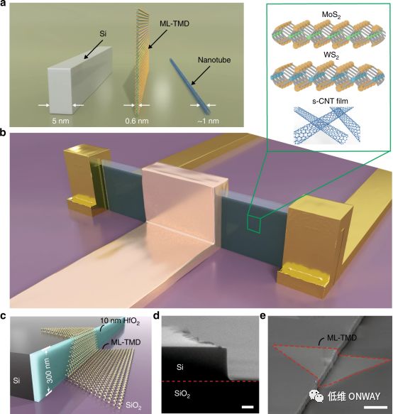 Nat Commun 单原子层沟道finfet 上海昂维科技有限公司