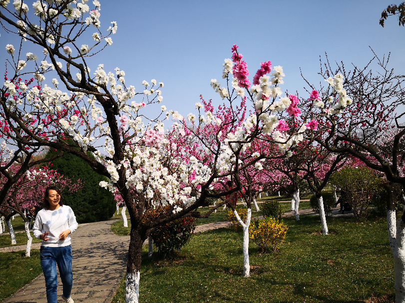 宝鸡市人力资源有限公司_宝鸡市人力资源_宝鸡市人力资源部