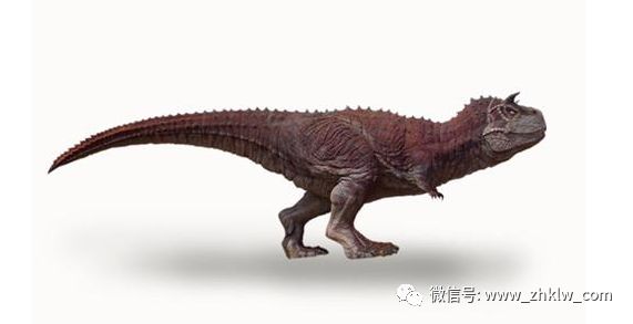 霸王龙的前爪这么小有用吗