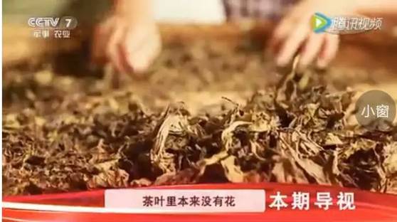 我们听听CCTV.2怎么说黑茶调理病情！